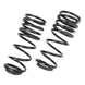 Dirt King multi-rate rear springs Toyota rear coil springs set, black finish